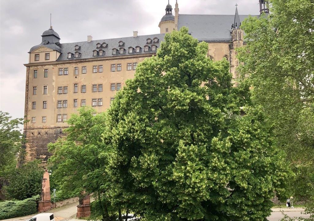 immo_52228_4469AE02F6154513A4C43B7E755F020C