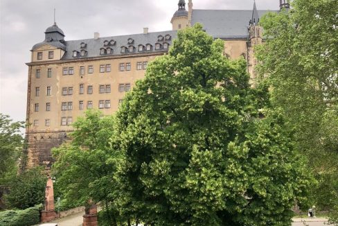 immo_52885_4469AE02F6154513A4C43B7E755F020C